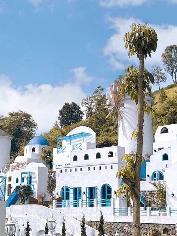 saraehills